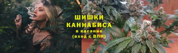 дживик Гусь-Хрустальный