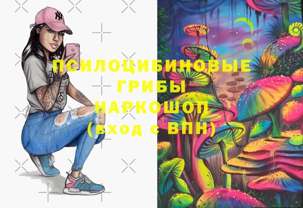 дживик Гусь-Хрустальный