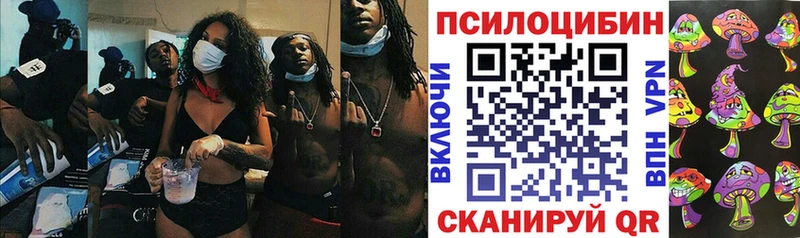 Псилоцибиновые грибы мухоморы  Купить  Кодинск 